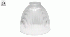 Tulipa p-artef Canela d250 vid-comun