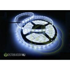 LEDs cinta BLF   60L 12Vcc SMD2835  5WxM Int