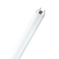 Tubo fluor 18W 6500K Luz Dia 765 d26 G13